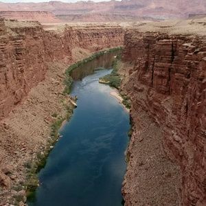 Meet your Posher, Estrella